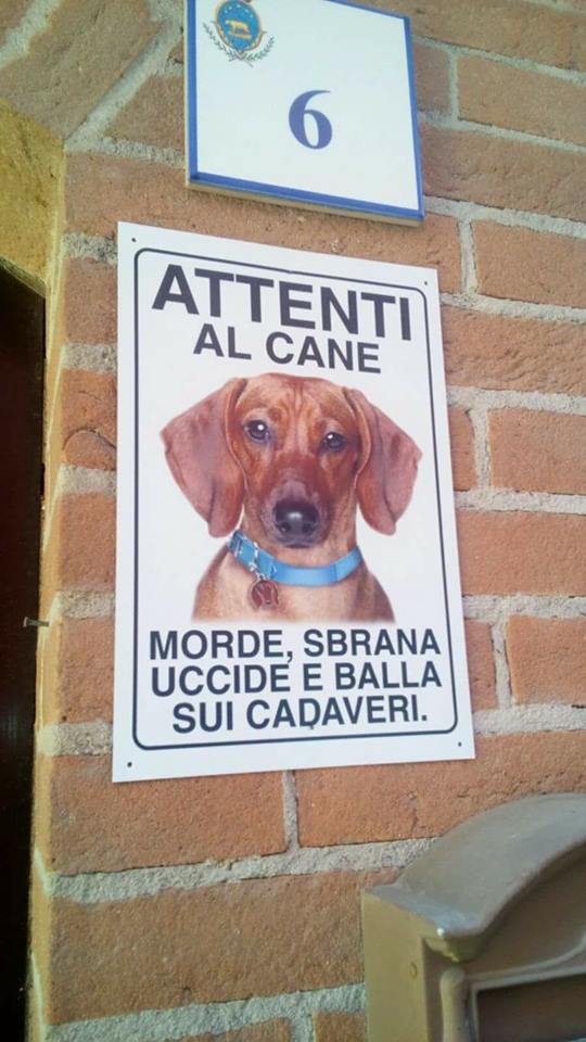 Immagine