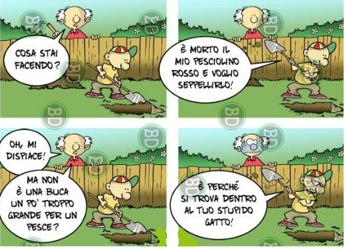 Immagine