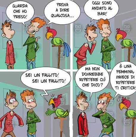 Immagine