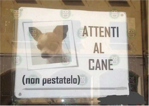Immagine