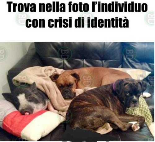 Immagine