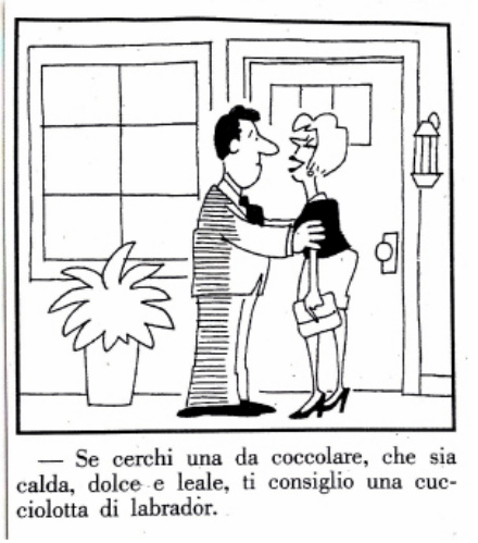 Immagine