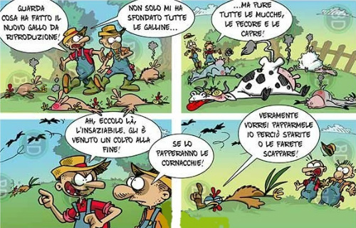 Immagine