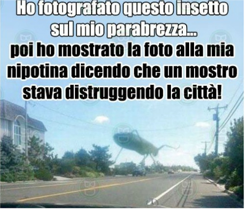 Immagine
