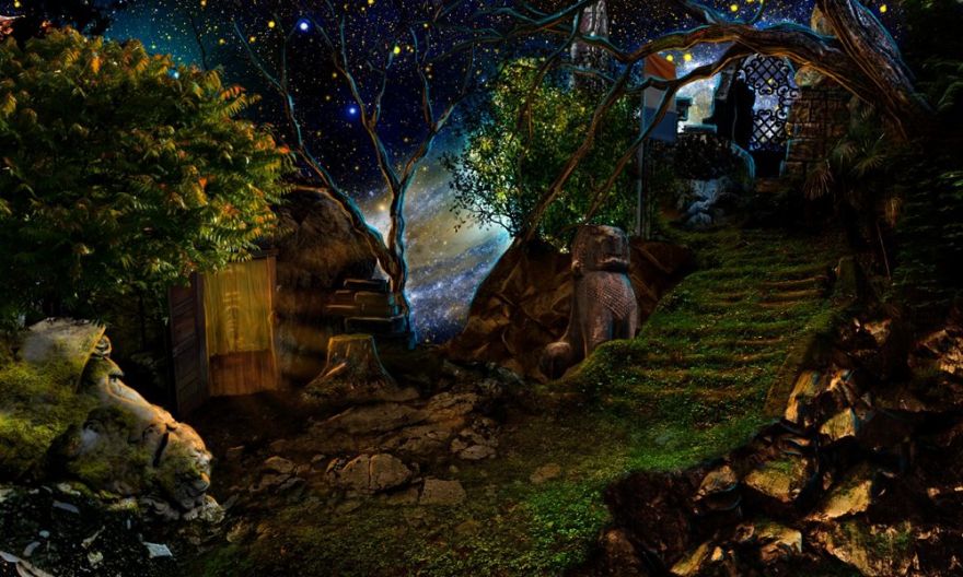 Immagine